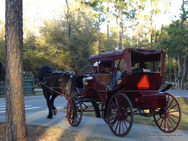 Carriage Rides